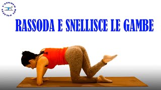 rassoda e snellisce le gambe pilates [upl. by Hosea]