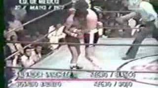 Salvador Sanchez vs Rosalio Badillo 05211977 22 [upl. by Ailaza250]