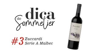 DICA DE SOMMELIER 3 Zuccardi Série A Malbec [upl. by Hazeefah]