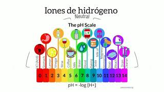 La Regulación del pH en el cuerpo humano [upl. by Noicnecsa]