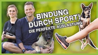 Perfekte Auslastung in 15 Minuten BINDUNG durch SPORT [upl. by Merridie194]