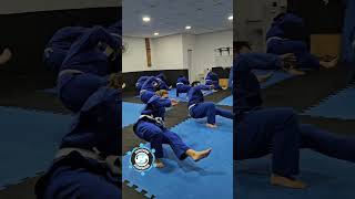 Fundamentos Jiujitsu bjj jiujitsu [upl. by Grati]