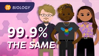 Population Genetics Why do we have different skin colors Crash Course Biology 14 [upl. by Clemmy]