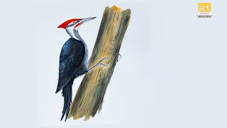 How to Draw A Woodpecker II Woodpecker drawing II artjanag [upl. by Colombi]