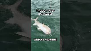 The Trokar TK5BS wrecks redfish sportfishing fishingequipment gofishing saltlife oceanlife [upl. by Yalc]