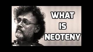 Terence McKenna  What Is Neoteny [upl. by Alleusnoc]