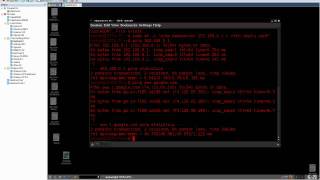 Troubleshoot network adapters in VMware and Backtrack [upl. by Leuqer508]