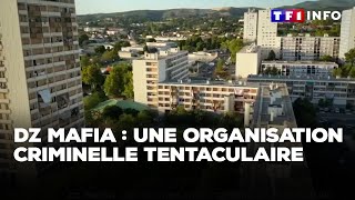 DZ mafia  une organisation criminelle tentaculaire [upl. by Samantha]