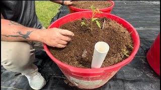 How to Build Wicking Tubs containergardening homesteading gardening [upl. by Modie37]