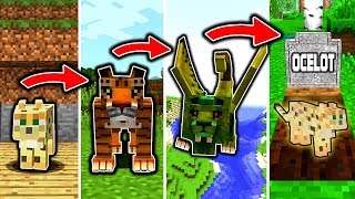 OZELOT LEBENSZYKLUS in Minecraft  Von einer KATZE zum KILLER [upl. by Inait]