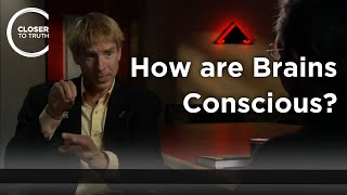 Christof Koch  How are Brains Conscious [upl. by Ahsytal]