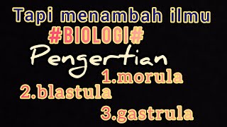 vlog tapi bermanfaatbiologi  pengertian Morula blastula gastrula [upl. by Eednim]