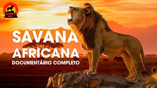 🔴SAVANA AFRICANA  Terra dos Predadores Mais Brutais  Documentários animais [upl. by Ardnaeed]