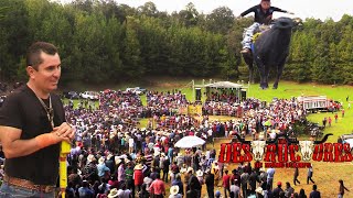 ¡LOS DESTRUCTORES DE MEMO OCAMPO JARIPEO EN EL PINO NAHUATZEN MICHOACAN 15 DE JUNIO [upl. by Edra]