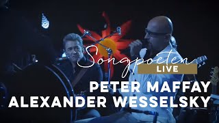 Peter Maffay amp Alexander Wesselsky  Tabaluga quotSchlüssel zur Machtquot Live  „Das Schloss“ [upl. by Fates441]