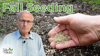 Fall Lawn Care  How To Grow Grass From Seed amp Overseed In Fall [upl. by Truitt420]