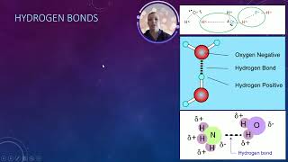 Topic 31 Intermolecular and Interparticle Forces [upl. by Aniram]