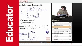 Phosphatidyl Inositol Structure and Reaction  Biochemistry Tutorial [upl. by Oiuqise590]