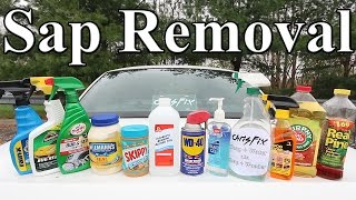 The BEST Tree Sap Removal Product for your Car is [upl. by Bertila]