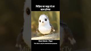 Piper Movie Explain In Hindi  shorts shortsfeed shortvideo movie [upl. by Vedetta]