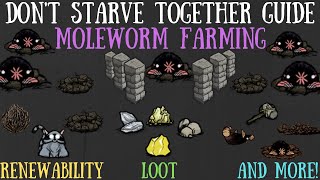 Dont Starve Together Guide Moleworm Farming [upl. by Asirram]