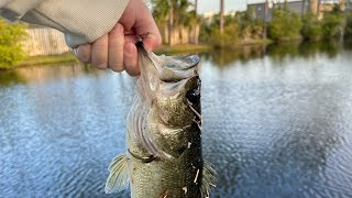 Bass Fishing  Panama City Beach  Florida [upl. by Yemorej944]