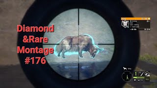 Diamond and Rare Montage 176 The Hunter Call of the Wild Montage [upl. by Ynaitirb228]