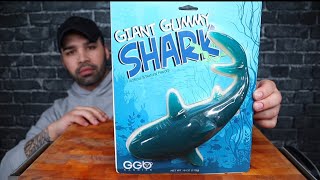 ASMR GIANT GUMMY SHARK MUKBANG [upl. by Tatianna]