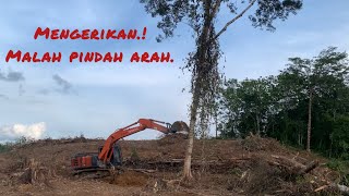 STEKING LAHAN SAWIT ‼️ SALAH SEDIKIT NYAWA MELAYANG [upl. by Frydman]