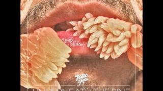 Toro y Moi  How I Know [upl. by Seabury]