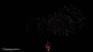 Heideblütenfest Schneverdingen 2016  Feuerwerk Pyroland [upl. by Nahtad370]