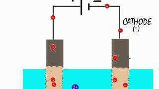 Electrolysis of copper sulfate and its use to refine blister copper by electrolytic refining [upl. by Etheline704]