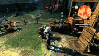 The Witcher 3  Onde encontrar o melhor armeiro nível mestre [upl. by Merridie808]