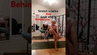 Stretch connective tissues seniors hipjoint mobility [upl. by Enelec]