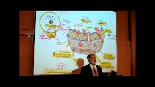 ANATOMY REVIEW OF CYTOLOGY PART 2 by Professor Fink [upl. by Ennayram]