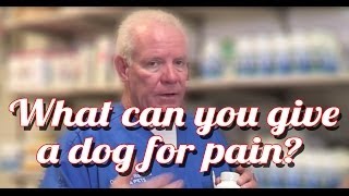 What Can I Give My Dog For Pain  Ask the Expert  Dr David Randall [upl. by Isidor]