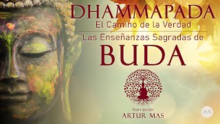 Buda  Dhammapada quotEl Camino de la Verdadquot Las Enseñanzas Sagradas de Buda Audiolibro Completo [upl. by Danell]