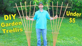 How to Make a 6FT Garden Trellis with 1 Board  Simple DIY Fan Trellis [upl. by Hesler]