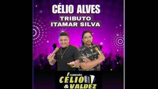 CÉLIO E VALDEZ TRIBUTO A ITAMAR SILVA [upl. by Jacob794]