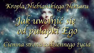 Ciemna strona codziennego życia  jak uwolnić się od pułapek Ego  praktyczne instrukcje [upl. by Hamann]