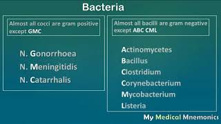 Gram Positive amp Negative Bacteria  My Medical Mnemonics [upl. by Derina690]