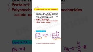 Why Lipids are not Polymers  Biomolecules class 11 Biology  NEET shorts [upl. by Keeton648]