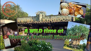 Disneys Animal Kingdom Day [upl. by Uria]