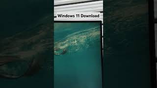 How to download windows 11 iso file trending youtube [upl. by Brigit]