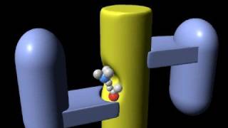 Acetylcholine receptor Rate My Science [upl. by Roht]