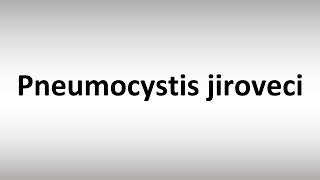 How to Pronounce Pneumocystis jiroveci [upl. by Errecart]