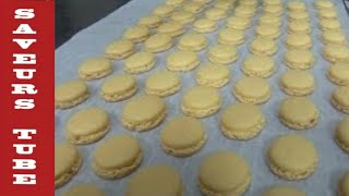 How to make Macarons with TV Chef Julien Picamil from Saveurs Dartmouth UK [upl. by Fai482]