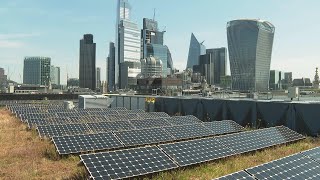 Plant or Paint The London rooftops transformed to combat heatwaves [upl. by Acirne859]