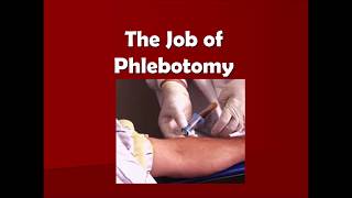 quotSo You Want To Be A Phlebotomistquot [upl. by Odlareg]