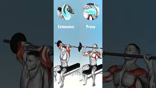 🔹 Overhead Extension vs Press 🤔 [upl. by Kenay]